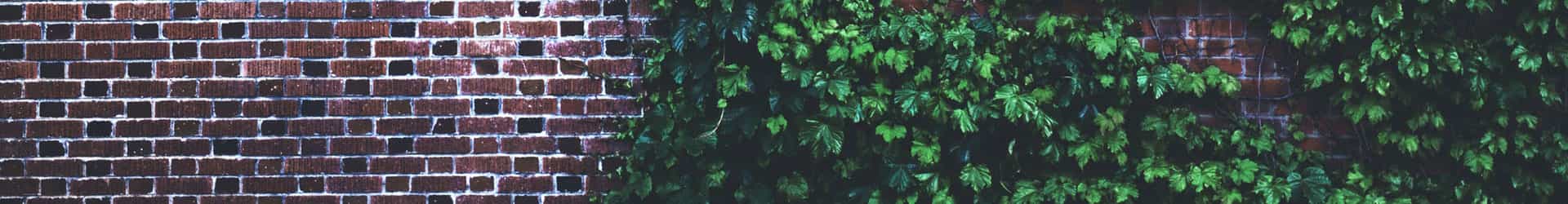 Chambers Estate Agency